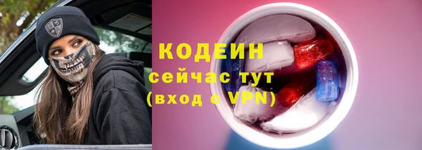 мяу мяу кристалл Корсаков