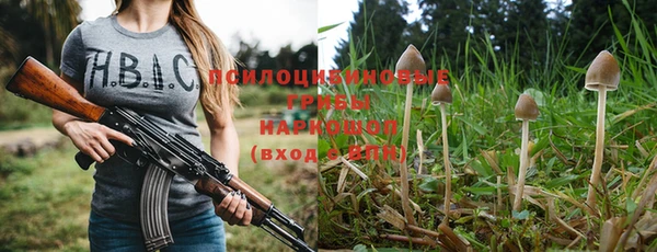 ешки Коряжма