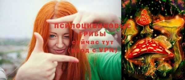 ешки Коряжма