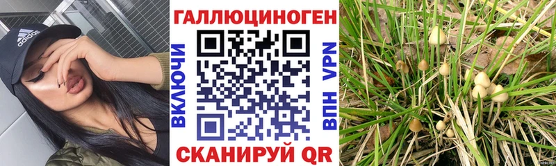 Псилоцибиновые грибы GOLDEN TEACHER kraken ТОР Красавино